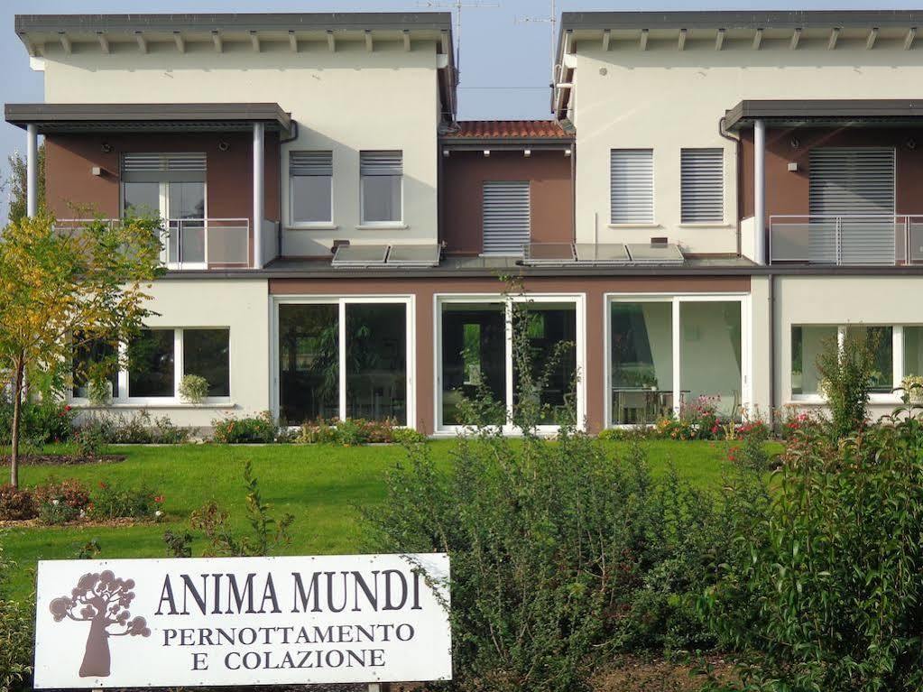 Anima Mundi Bed & Breakfast Curtatone Екстериор снимка
